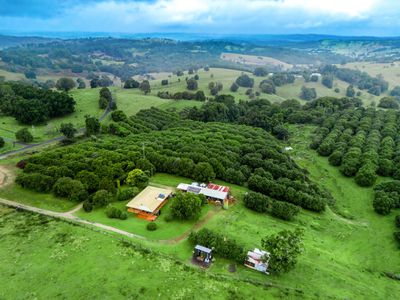 519 Cross Road, Numulgi