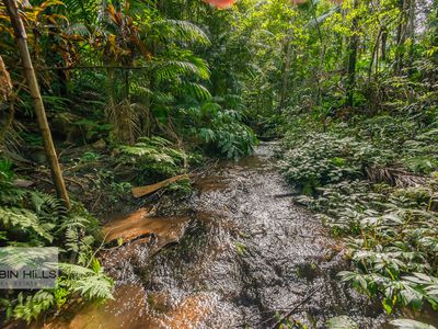 2 / 269 Upper Tuntable Falls Road, Nimbin