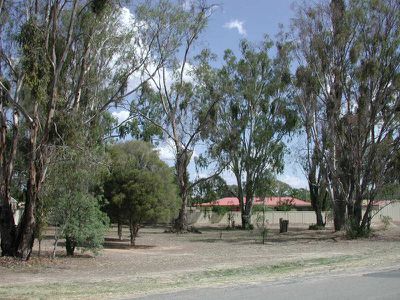 Lot 1, Denison Street, Tocumwal
