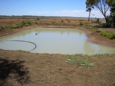 Kerang