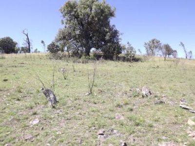 Lot 357 Schroeders Road, Emmaville