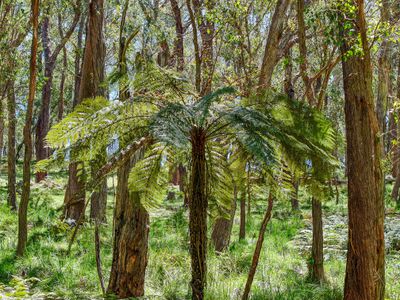 12 Bluebell Road, Braidwood