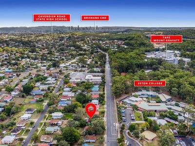 1155 Cavendish Road, Mount Gravatt East