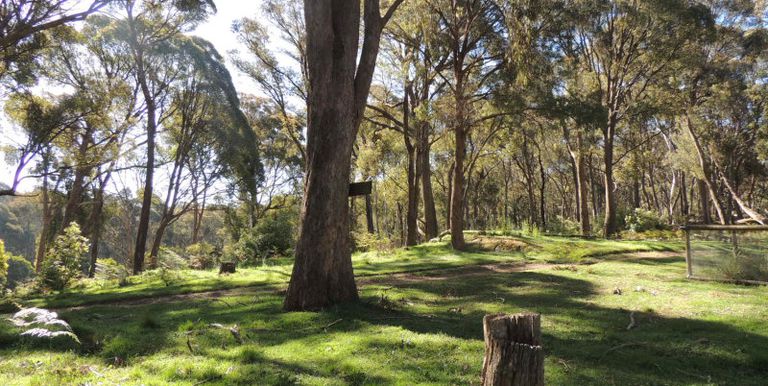 11 / Tames Road, Strathbogie