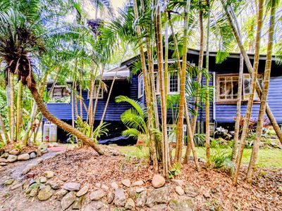 771 Left Bank Road, Mullumbimby Creek