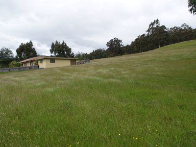 230 Police Point Road, Glendevie