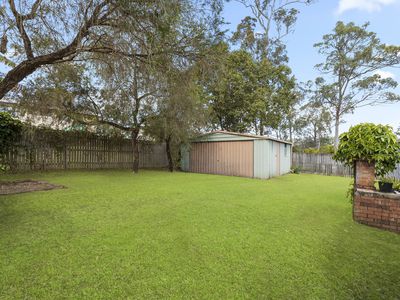 11 Anchusa Street, Kingston