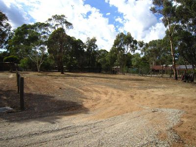 9A Forest Drive, Ascot