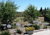 126 Thompson Road, Orange