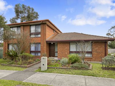 19 Mayfair Drive, Ferntree Gully