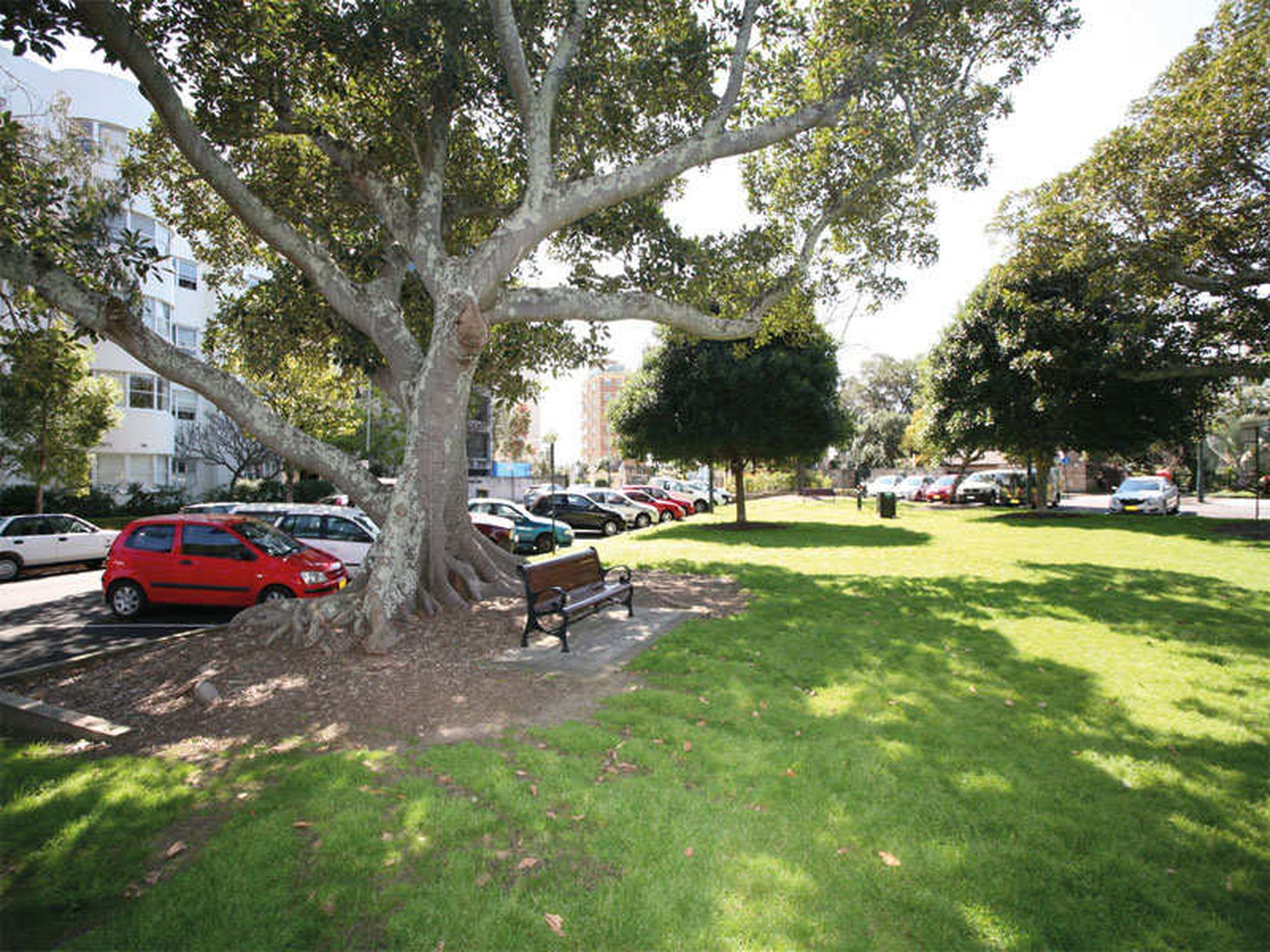 5 Great Thorne Street, Edgecliff