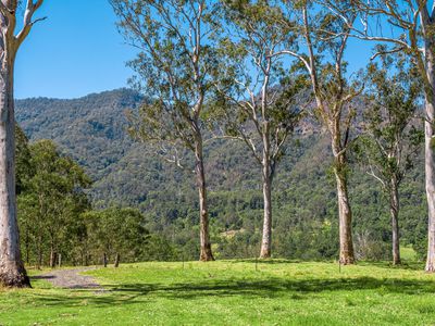 975 Green Pigeon Road, Green Pigeon Via, Kyogle