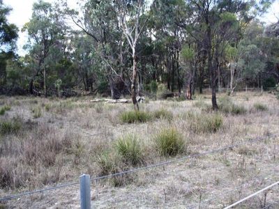 Lot 24 Tilly Willy Road, Coolah