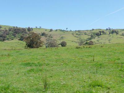 Egan Lane, Sandy Creek