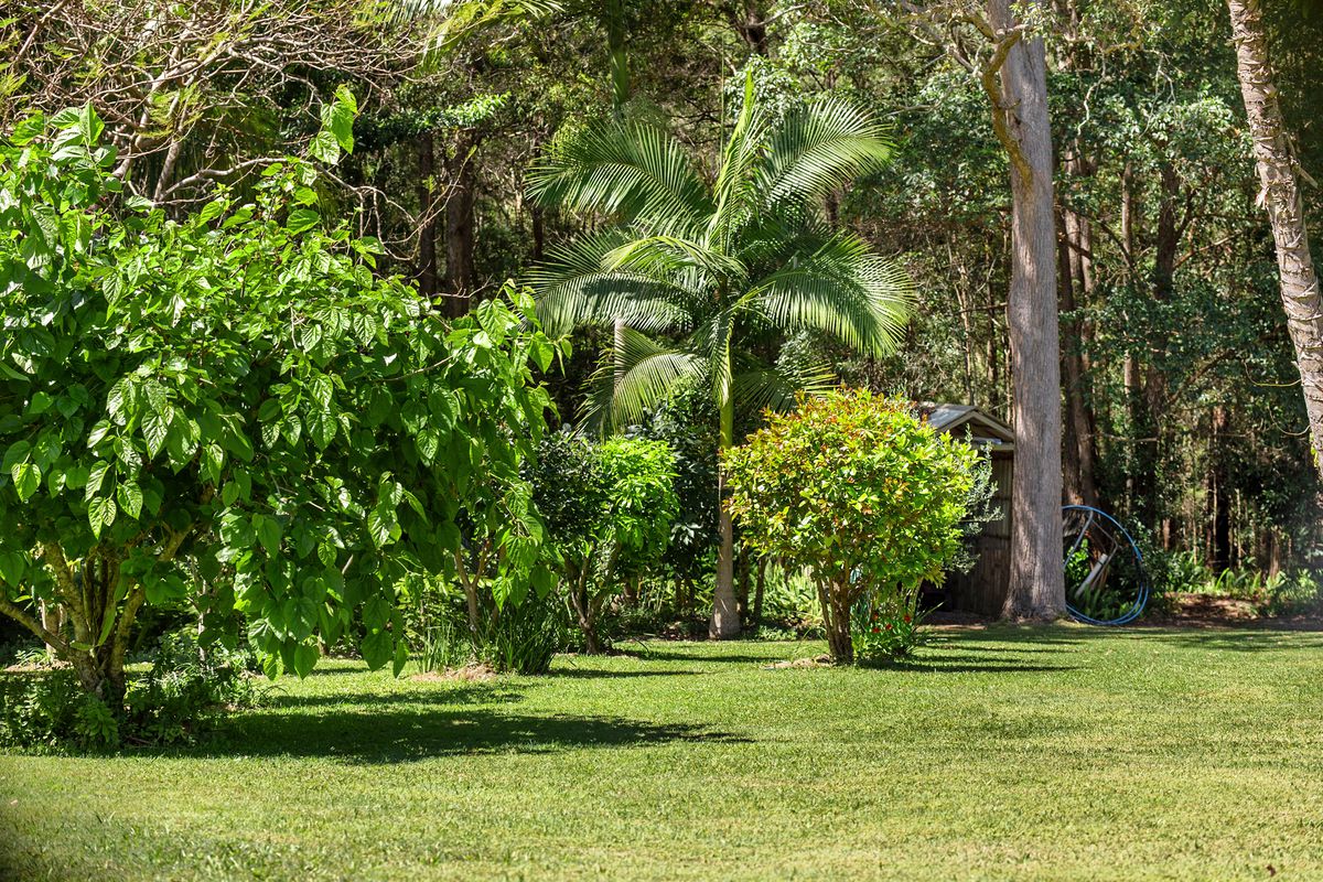 8 Livistona Drive, Doonan