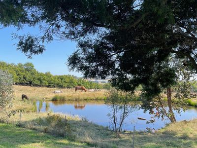 'Rose Cottage' 75 Lawrie Road, Beechworth