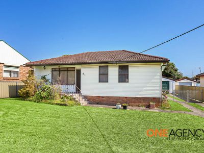 51 Thomas Street, Lake Illawarra