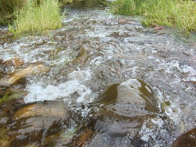 115 Gulph Creek Road, Nerrigundah