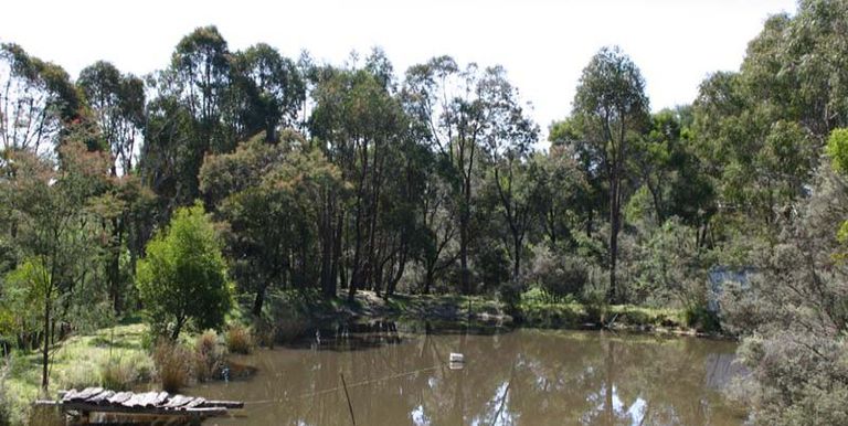 1621 Harrys Creek Road, Strathbogie