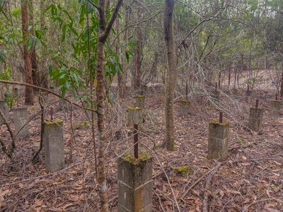 Lot 1, Link Road, Lonnavale