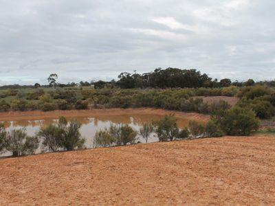 Lot 1  Tait Hamilton Road, Gobarup