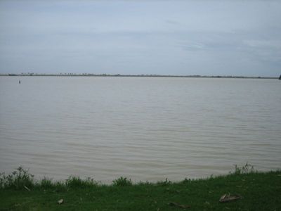 Kerang