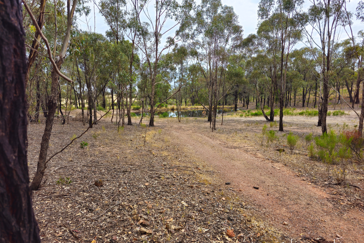 Lot 98 Middle Road, Rushworth