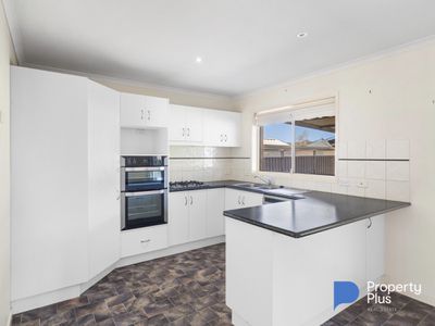 81 Mistletoe Street, Golden Square