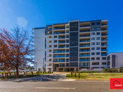 284 / 1 Mouat Street, Lyneham
