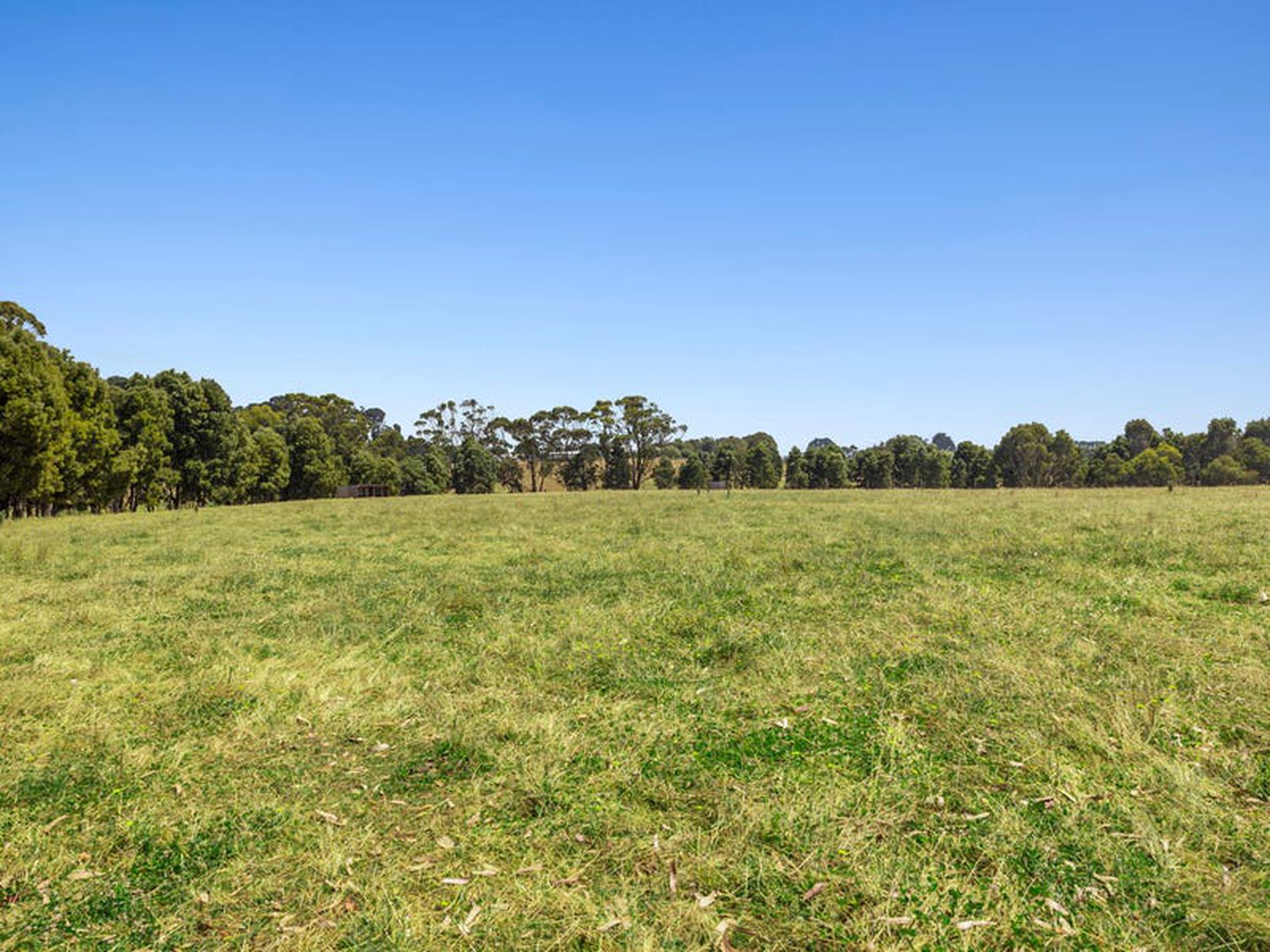 254 Newtons Lane, Trentham