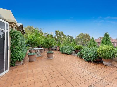 5 / 35 William Street, Double Bay