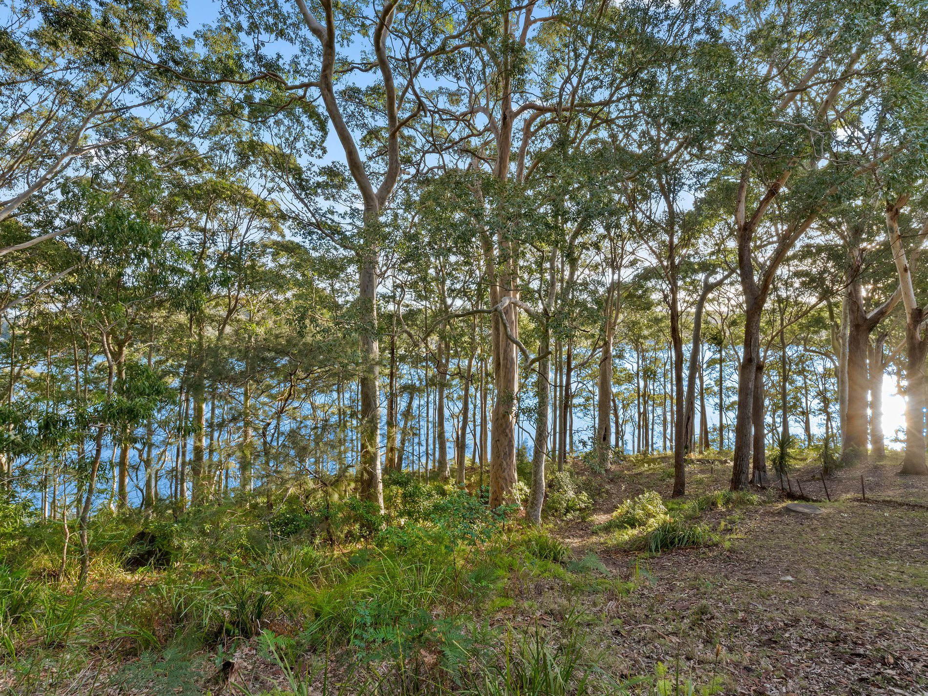 8 William Street, Kings Point