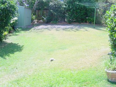 4 Salamander Place, Rochedale South