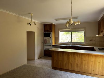 8 Reid Court, Tawonga South