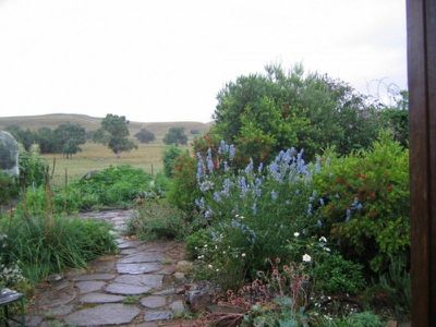 149 Mt Battery Road, Mansfield