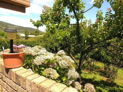 2 / 64 Sale Street, Huonville