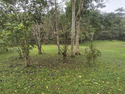 Lake Eacham