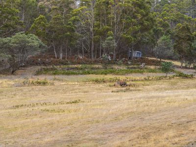 181 White Hill Road, Forcett