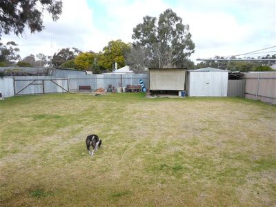 Tocumwal