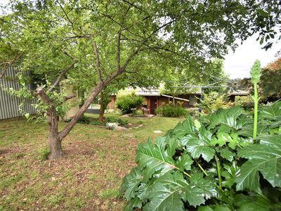 2 WOOD STREET, Beechworth