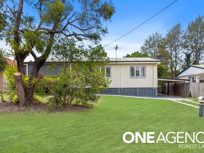 45 Bluejay St, Inala