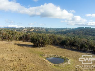 13 Bluff River Road, Tenterfield