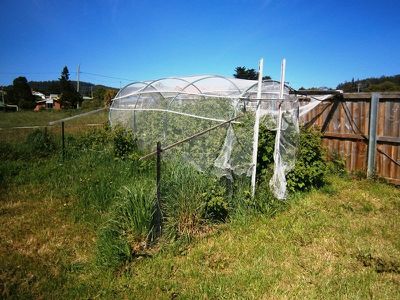 5 School Road, Geeveston