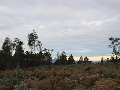 Lot End of, Harwoods Road, Castle Forbes Bay