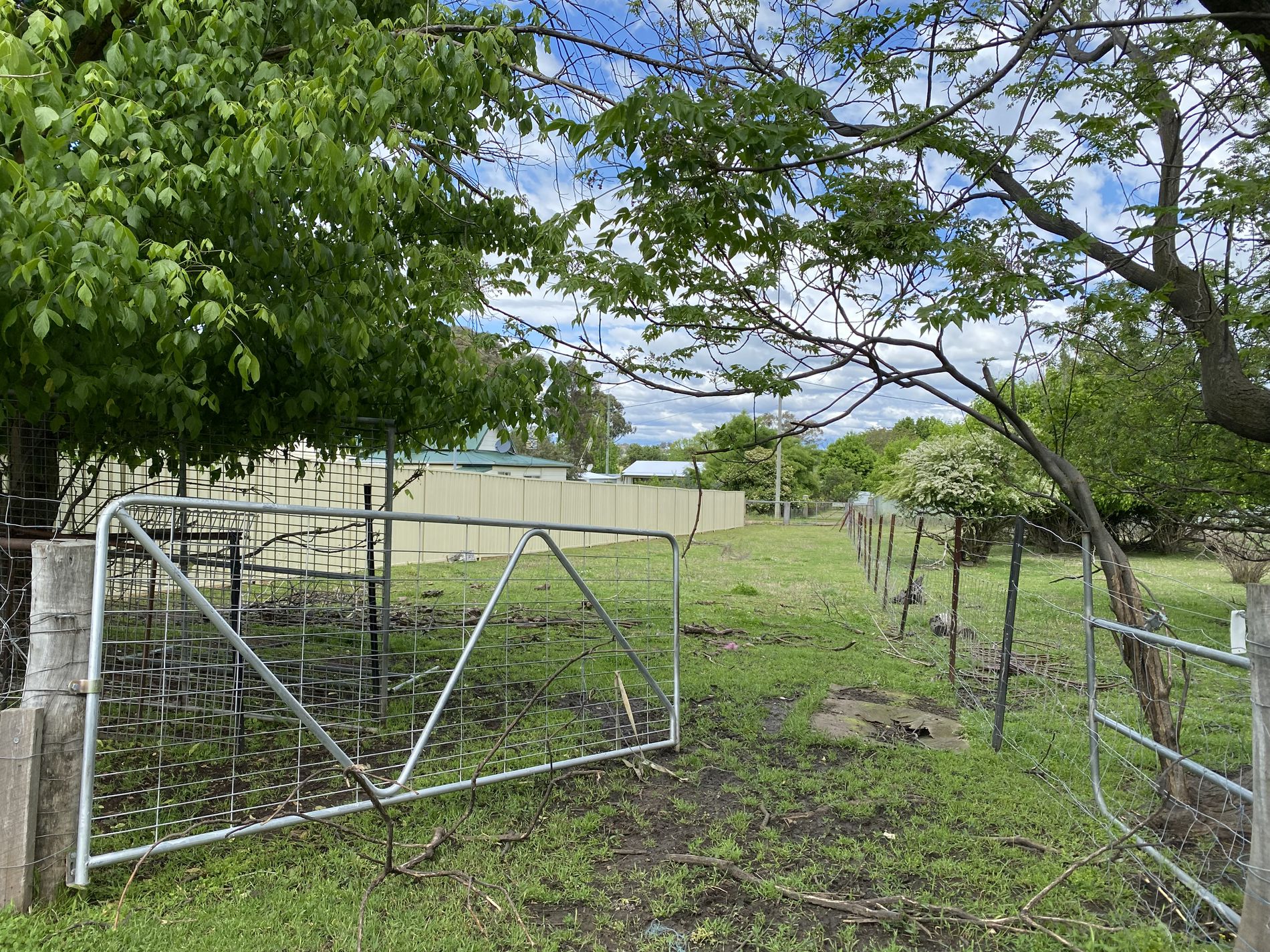 50 Martin Street, Coolah Piper Real Estate