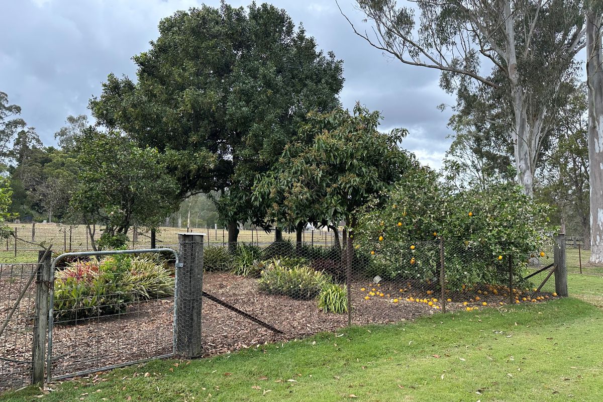 28 Mary Street, Woodford