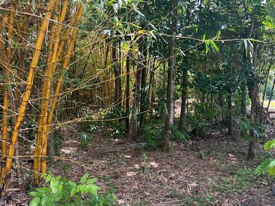 264 NEWMAN ROAD, Sandy Pocket