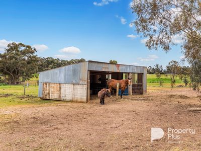 92 Castlemaine-Maldon Road, Muckleford