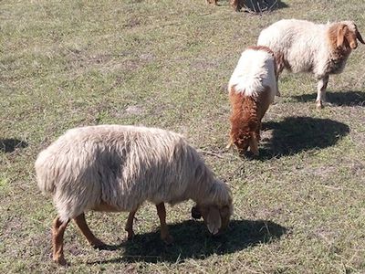 1271 Dobaderry Road, York