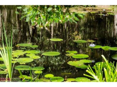 47 Killawarra Road, Lake Macdonald